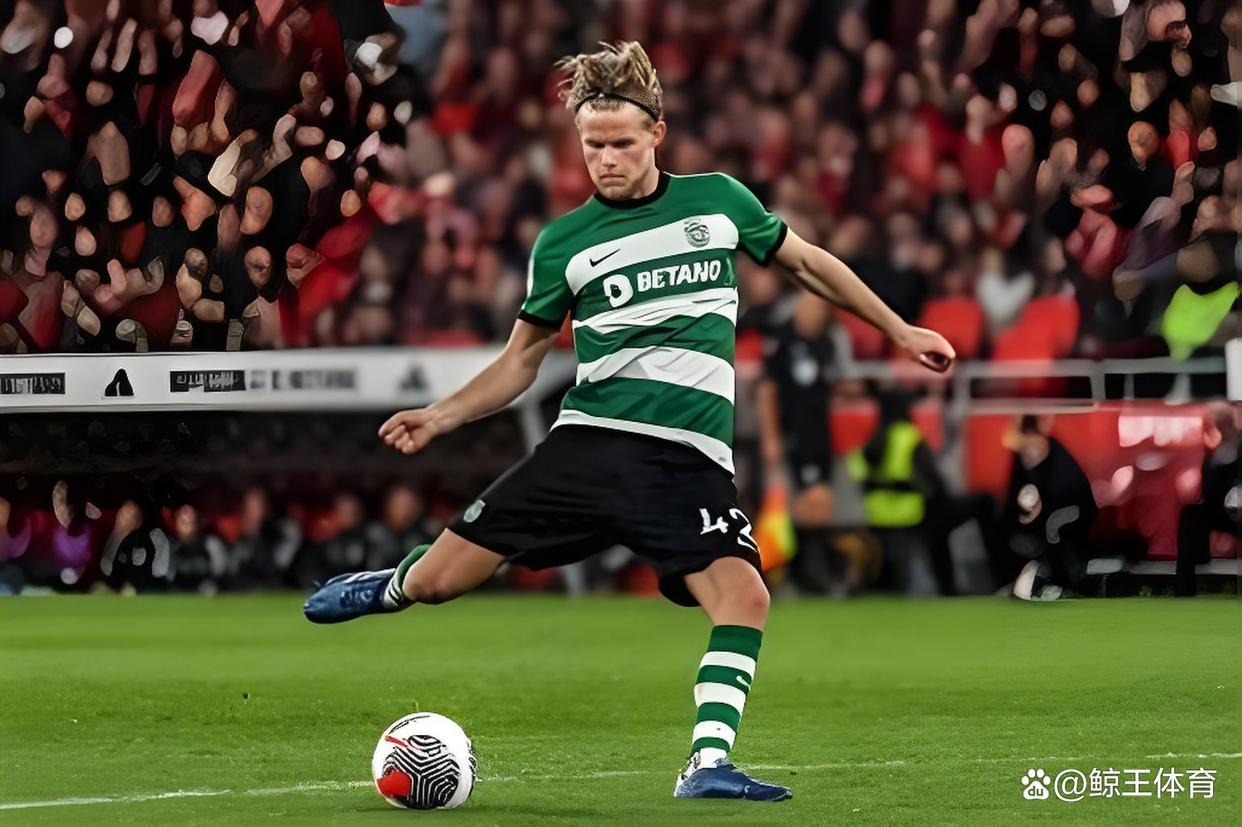 开云-葡萄牙横扫曼城，萨内扛起全队的简单介绍