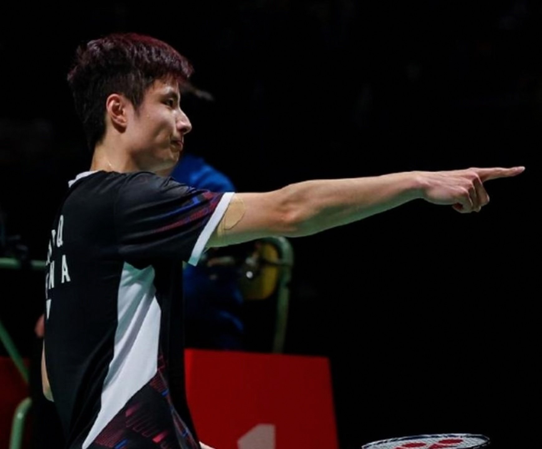 丹麦队鏖战马来西亚队，石宇奇惊艳四座的简单介绍